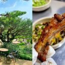 평화참숯