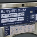 성성중 이미지