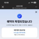 빠마 이미지