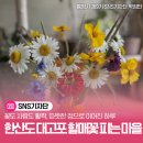 꽃도 사람도 활짝, 따뜻한 정으로 이어진 하루 (한산도 대고포 &#39;할매꽃 피는 마을&#39; 체험 프로그램)
