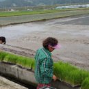 복자농장 이미지