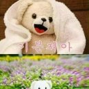 더힐링풋샵 이미지