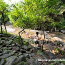 계곡가든산장 이미지