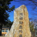 개금약초 이미지
