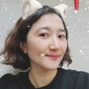 로이드밤고강점 이미지