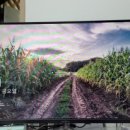 [광진종이문화교육원] 손주들과 눈높이 소통~조부모 육아교실 이미지