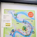 도담삼봉 자전거길 티스토리