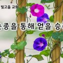 1월 7일(화) 순종을 통해 얻을 승리! 이미지