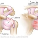 마석서울정형외과의원 이미지