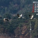 고니 PC 이미지