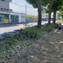 한국항만물류고등학교 이미지