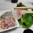 명지시장 회 맛집 소배수산 포장 회 후기 신선한 도다리·밀치로 집에서 힐링 한상차림