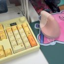 [엠스톤] 그루브스톤 민들레허니 GS104 저소음 하늬축 (+ 내돈내산, 타건감, 무선키보드 추천♥)