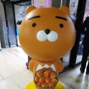 원식목장 | 겨울제주도 2박3일 가족여행 잊지못할 추억♡