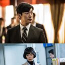 비밀의숲 이미지