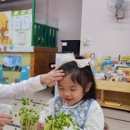 동광어린이집 이미지