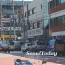 서울시 '교통법규위반 온라인 시민신고제' 도입‥6월부터 시행 이미지