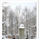 한일맛집 이미지