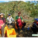 쌍둥이네농장 이미지