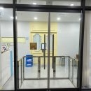 슬기로운 댕댕 유치원 이미지