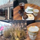 구미시청 | 구미 카페 추천! 디디씨 돌담커피 구미시청점 솔직 방문 후기