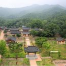 영암터미널 진입로 | 🏛️ 무위사: 천년의 세월이 머무는 호젓한 산사의 이야기 🌺