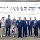 국제기업 이미지