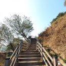 마동근린공원산책로 네이버블로그