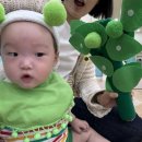 [육아기록] 오감 자연놀이 반짝반짝 똘망이 여름학기 수강 후기(대전 유성 엔씨 문화센터)