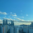 센텀경동공인중개사사무소 이미지