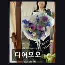디어모모