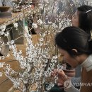 서경석농장 이미지