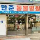 펫츠나라 동물병원 이미지