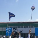 꼬닥꼬닥 | 제주올레트립 2025 제주올레 걷기축제 TEAM WALK 패키지 인솔 후기 (인솔자 J)