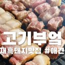 그마그로 이미지