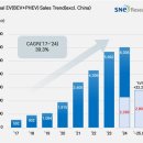 주식회사트럼프스포츠 이미지
