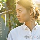 경주DC