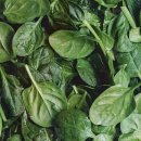 지중해푸드 이미지