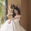웨딩 촬영 강남 스튜디오 헤어변형 오늘하루 내돈내산 성공후기