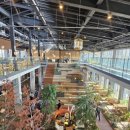 오션 비스타 제주호 | 제주도 2주 살기 마지막 날 - 제주당 브런치 &amp; 오션비스타 제주호 타고 귀가