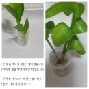 새순미용실 이미지