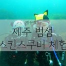 더비비스제주(The BB's JEJU) 이미지