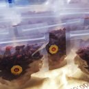 세기교통 이미지