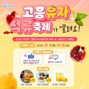 고흥유자석류축제 이미지