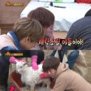 대야세탁소 이미지