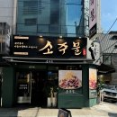 소주물 이미지