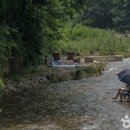 청년테마공원 화장실 이미지