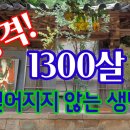 실령스러운 1300살 의상대사 선비화 ●소금 ●천년산삼 ●마씨양반 ●1분안에 잠드는법 아리랑호가찍은●백두산 이미지