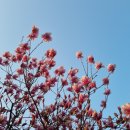 풍암동 한신옷수선 /풍암동 수선집 / 풍암동 수선잘하는곳