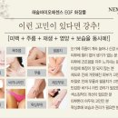해숲 이미지